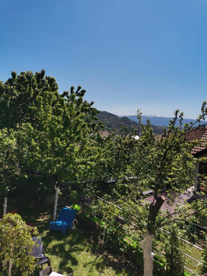 Bungalow 3 With 1 Room Sarajevo Bagian luar foto