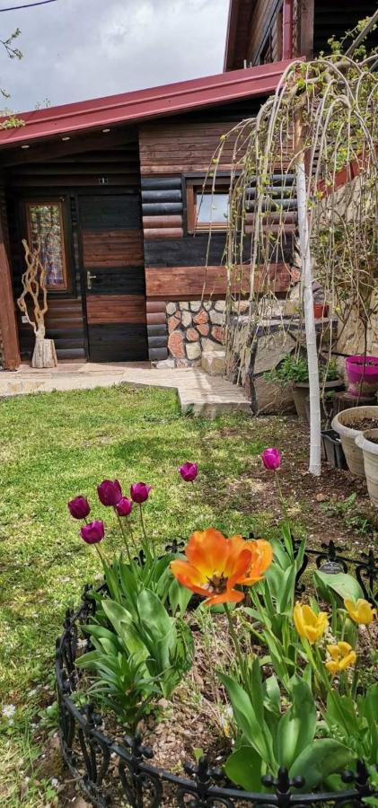 Bungalow 3 With 1 Room Sarajevo Bagian luar foto
